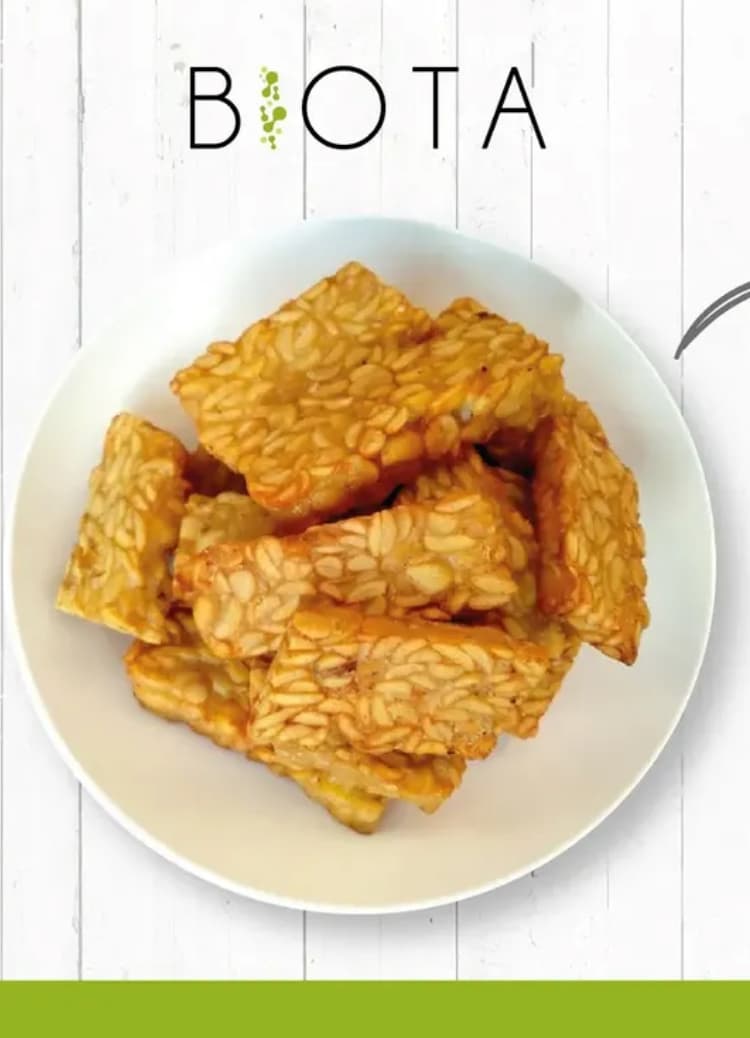 Tempeh de garbanzos - 330g