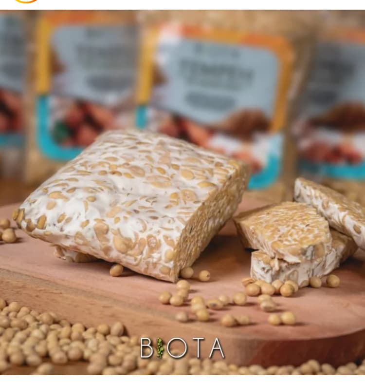 Tempeh de garbanzos - 330g